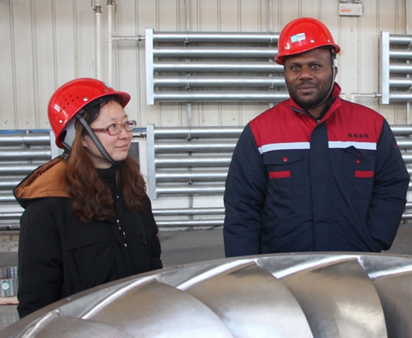 巴布亚新几内亚项目业主及监理工程师到格泰水电进行产品最终检验